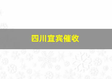 四川宜宾催收