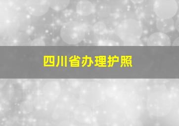 四川省办理护照