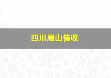 四川眉山催收