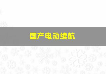 国产电动续航