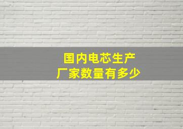 国内电芯生产厂家数量有多少