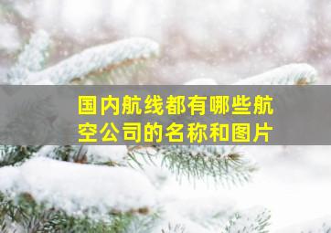 国内航线都有哪些航空公司的名称和图片