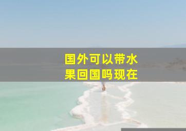 国外可以带水果回国吗现在