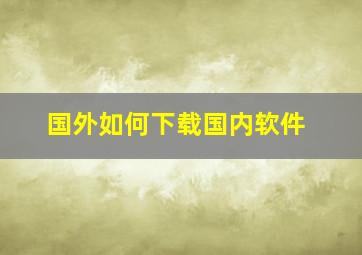 国外如何下载国内软件