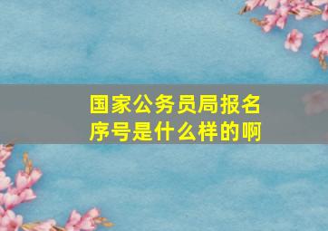 国家公务员局报名序号是什么样的啊