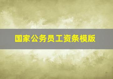 国家公务员工资条模版