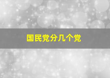 国民党分几个党