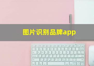 图片识别品牌app