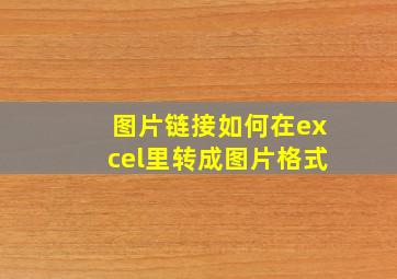 图片链接如何在excel里转成图片格式