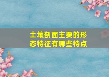 土壤剖面主要的形态特征有哪些特点