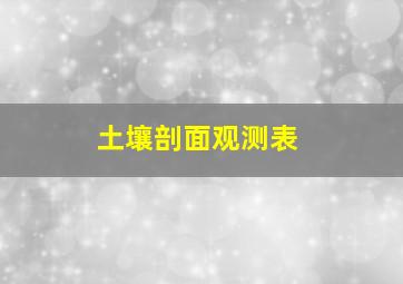 土壤剖面观测表