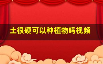 土很硬可以种植物吗视频