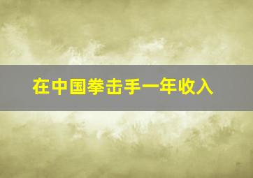 在中国拳击手一年收入