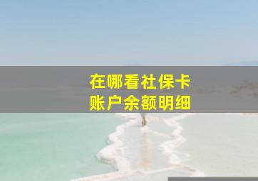 在哪看社保卡账户余额明细