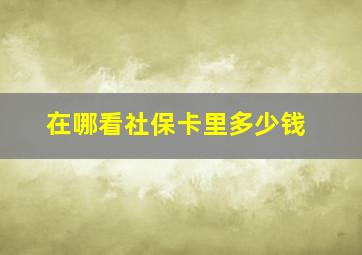 在哪看社保卡里多少钱