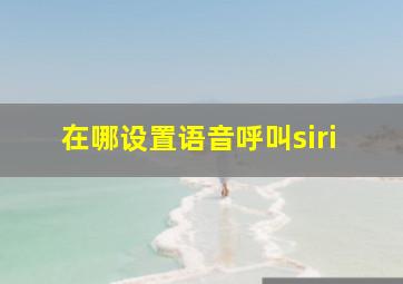 在哪设置语音呼叫siri