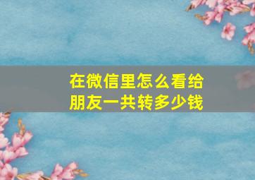 在微信里怎么看给朋友一共转多少钱