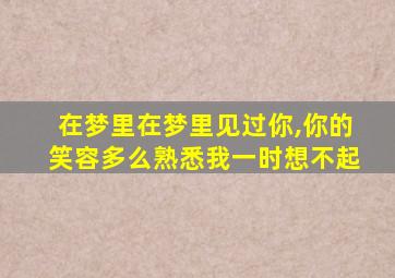 在梦里在梦里见过你,你的笑容多么熟悉我一时想不起