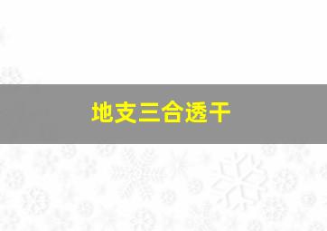 地支三合透干