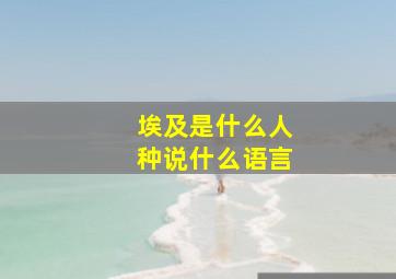 埃及是什么人种说什么语言