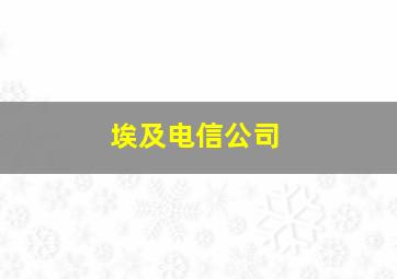 埃及电信公司