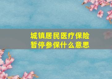 城镇居民医疗保险暂停参保什么意思