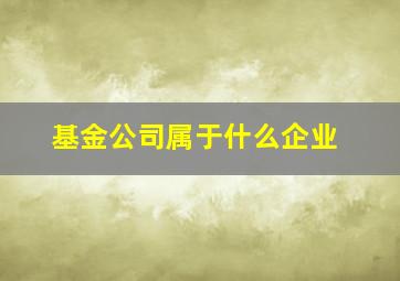 基金公司属于什么企业