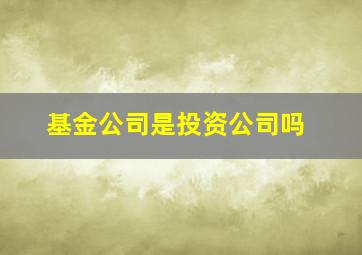 基金公司是投资公司吗