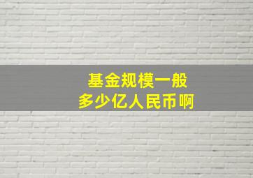 基金规模一般多少亿人民币啊