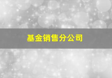 基金销售分公司