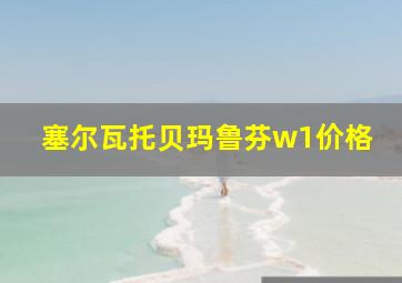 塞尔瓦托贝玛鲁芬w1价格