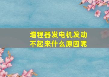 增程器发电机发动不起来什么原因呢