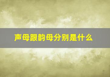 声母跟韵母分别是什么