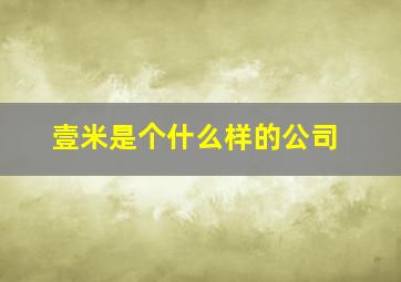 壹米是个什么样的公司