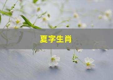 夏字生肖