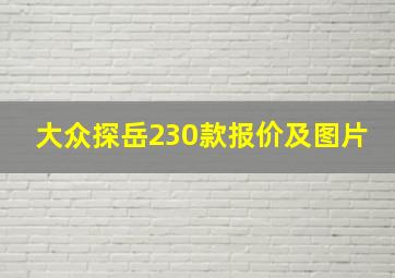 大众探岳230款报价及图片