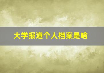 大学报道个人档案是啥