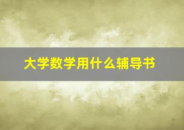 大学数学用什么辅导书