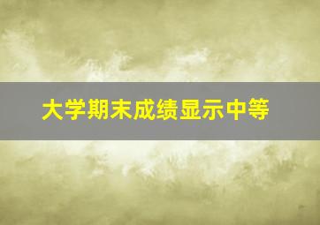 大学期末成绩显示中等