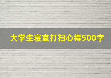 大学生寝室打扫心得500字