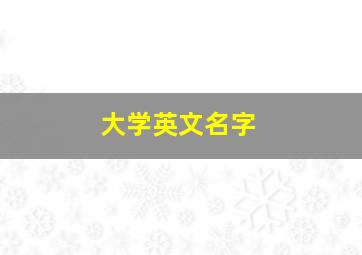 大学英文名字