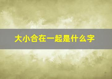 大小合在一起是什么字