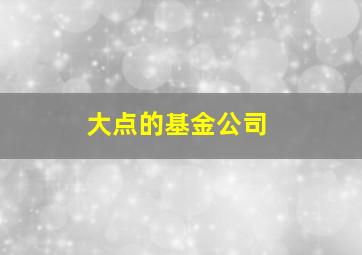 大点的基金公司