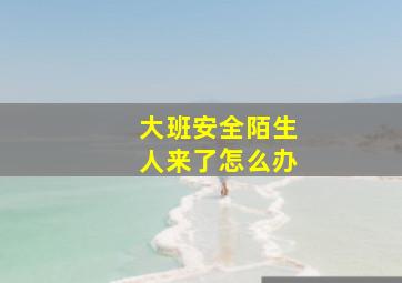 大班安全陌生人来了怎么办