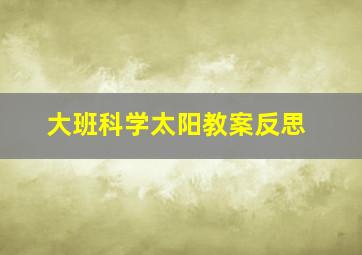 大班科学太阳教案反思