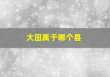 大田属于哪个县