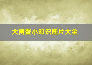 大闸蟹小知识图片大全