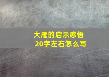 大雁的启示感悟20字左右怎么写