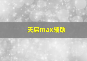 天启max辅助