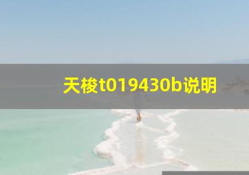 天梭t019430b说明